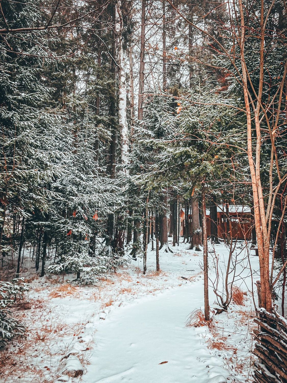 Беседки. Зона для пикника